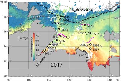 Differential Impact of the Khatanga and Lena (Laptev Sea) Runoff on the Distribution and Grazing of Zooplankton